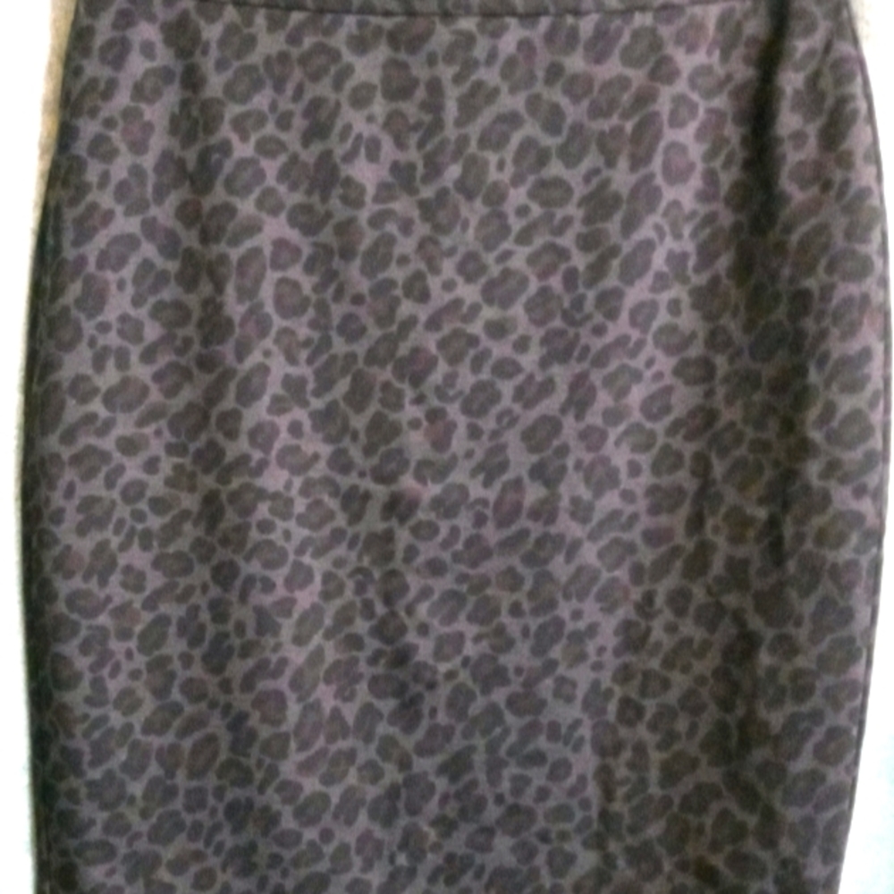 Ann Taylor ladies pencil skirt
